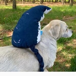 Bark Box Shark Fin, NWTs